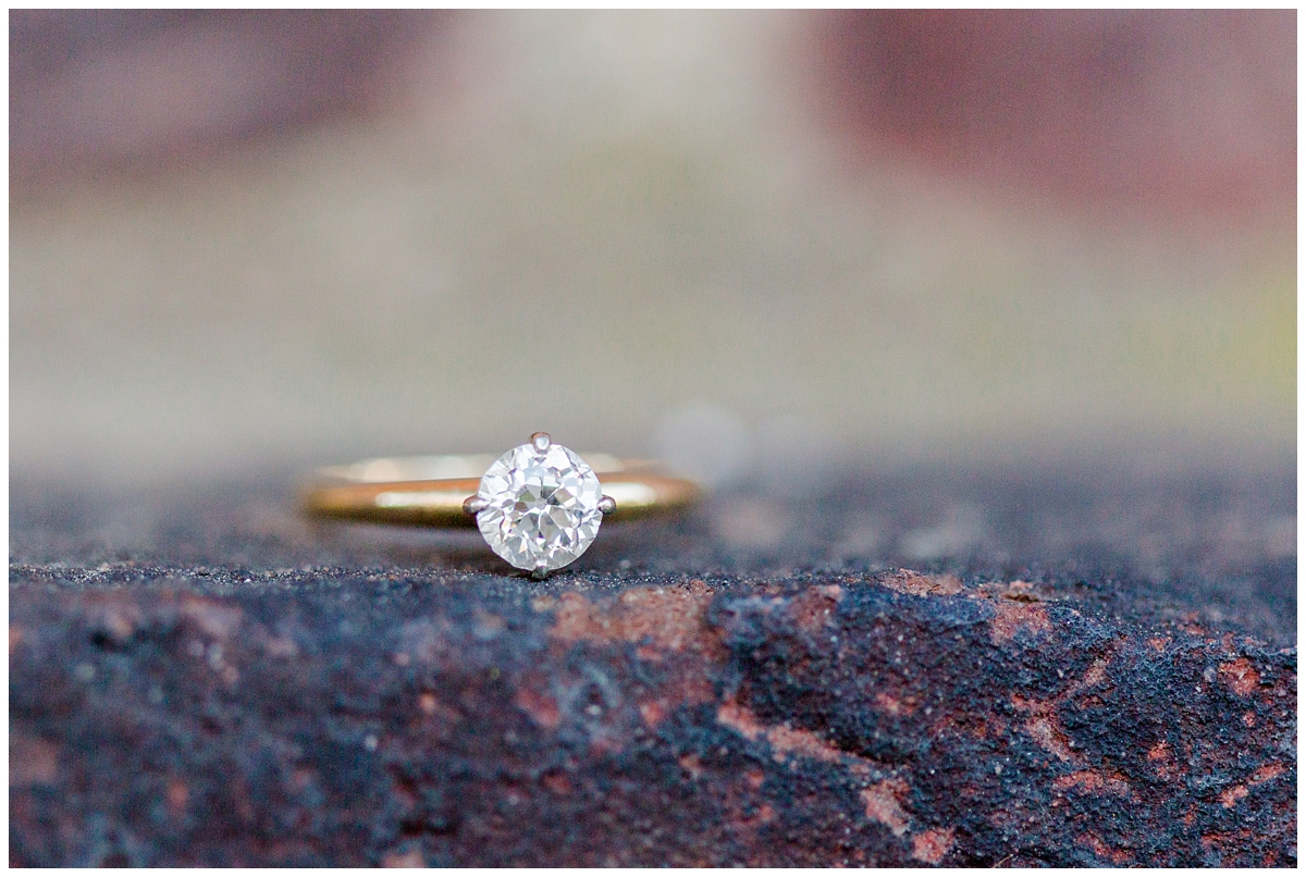 Alexandria,Alexandria Engagement Portraits,Amanda Bentley Photography,Historic Old Town Alexandria Engagement Photos,Spring Engagement Photos,VA,Virginia Rappahannock River Family Pictures,